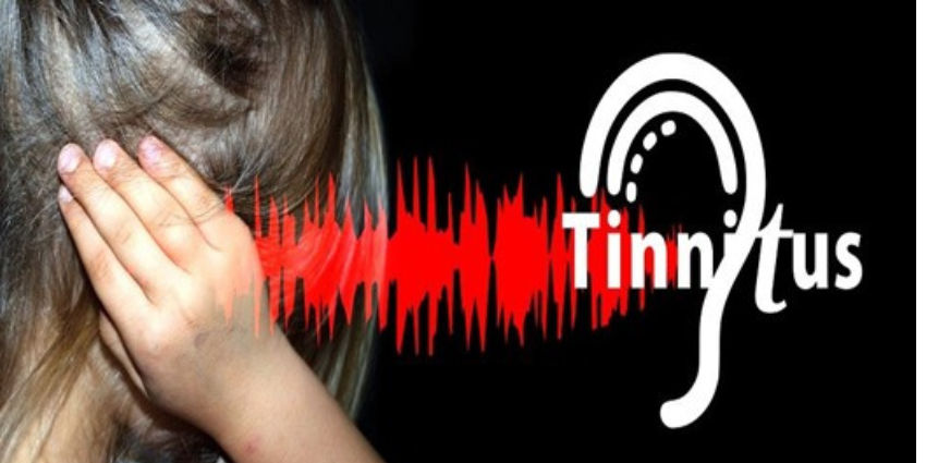 conducto-auditivo-externo