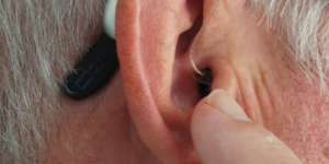 organo-de-corti-que-es-partes