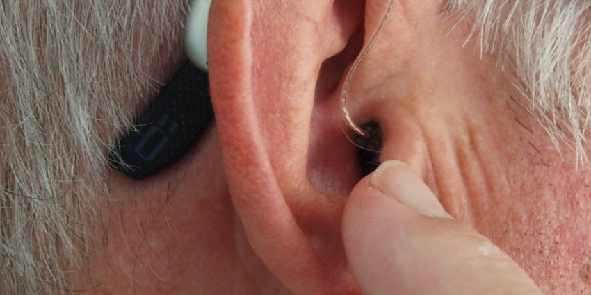 organo-de-corti-que-es-partes